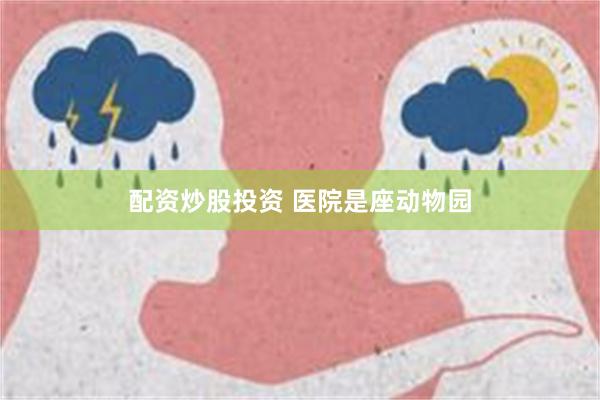 配资炒股投资 医院是座动物园