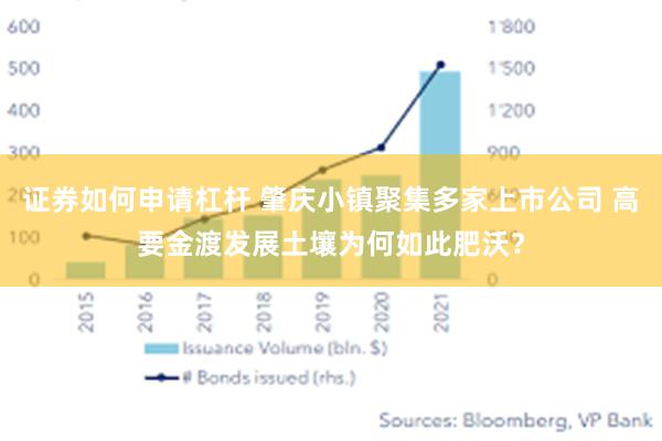 证券如何申请杠杆 肇庆小镇聚集多家上市公司 高要金渡发展土壤为何如此肥沃？