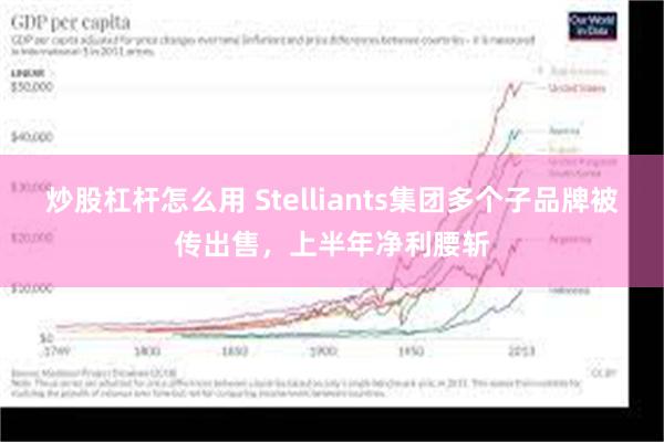 炒股杠杆怎么用 Stelliants集团多个子品牌被传出售，上半年净利腰斩