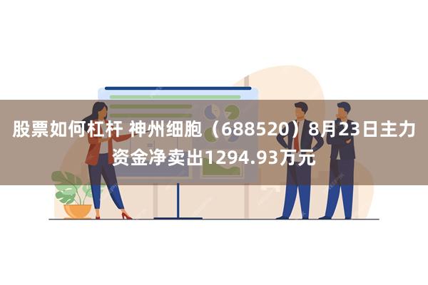 股票如何杠杆 神州细胞（688520）8月23日主力资金净卖出1294.93万元