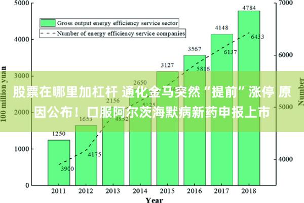 股票在哪里加杠杆 通化金马突然“提前”涨停 原因公布！口服阿尔茨海默病新药申报上市