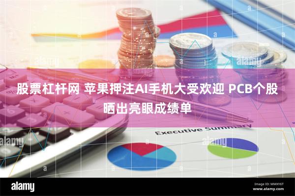 股票杠杆网 苹果押注AI手机大受欢迎 PCB个股晒出亮眼成绩单