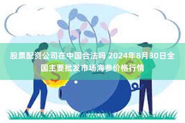 股票配资公司在中国合法吗 2024年8月30日全国主要批发市场海参价格行情