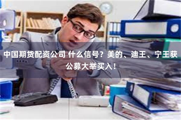 中国期货配资公司 什么信号？美的、迪王、宁王获公募大举买入！