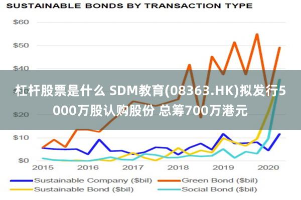 杠杆股票是什么 SDM教育(08363.HK)拟发行5000万股认购股份 总筹700万港元