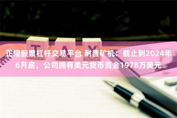 正规股票杠杆交易平台 耐普矿机：截止到2024年6月底，公司拥有美元货币资金1978万美元