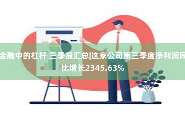 金融中的杠杆 三季报汇总|这家公司第三季度净利润同比增长2345.63%