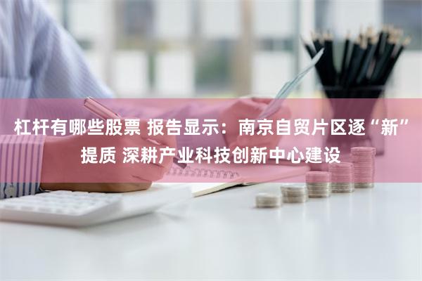 杠杆有哪些股票 报告显示：南京自贸片区逐“新”提质 深耕产业科技创新中心建设