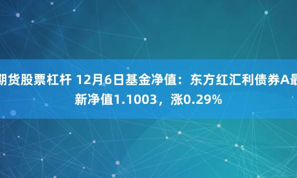 期货股票杠杆 12月6日基金净值：东方红汇利债券A最新净值1.1003，涨0.29%