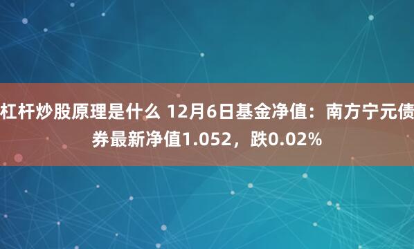 杠杆炒股原理是什么 12月6日基金净值：南方宁元债券最新净值1.052，跌0.02%