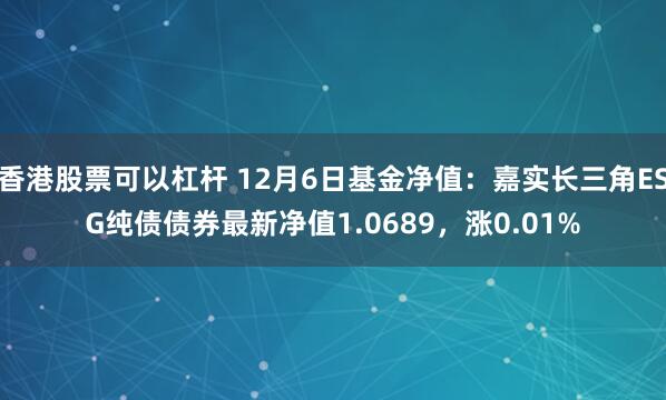 香港股票可以杠杆 12月6日基金净值：嘉实长三角ESG纯债债券最新净值1.0689，涨0.01%