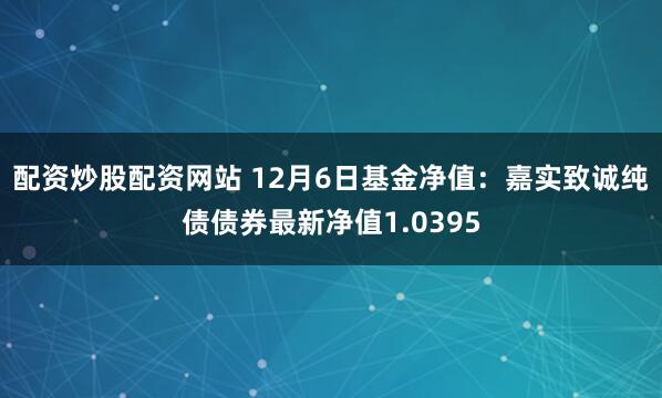 配资炒股配资网站 12月6日基金净值：嘉实致诚纯债债券最新净值1.0395