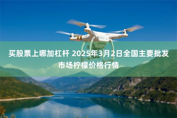 买股票上哪加杠杆 2025年3月2日全国主要批发市场柠檬价格行情