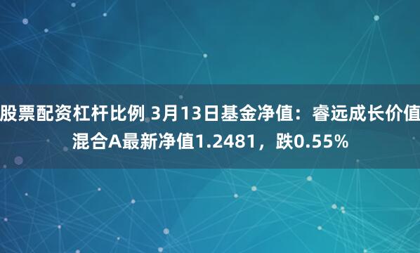 股票配资杠杆比例 3月13日基金净值：睿远成长价值混合A最新净值1.2481，跌0.55%