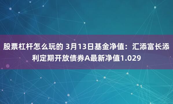 股票杠杆怎么玩的 3月13日基金净值：汇添富长添利定期开放债券A最新净值1.029