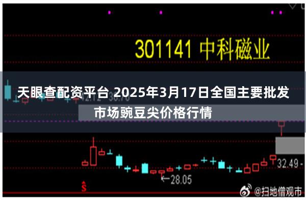 天眼查配资平台 2025年3月17日全国主要批发市场豌豆尖价格行情